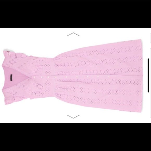 J. Crew Broderie Anglaise Cotton Poplin Dress - Picture 9 of 9